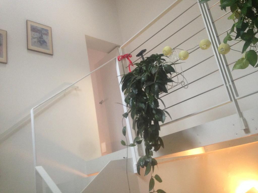 La Casina Apartment Парма Екстериор снимка